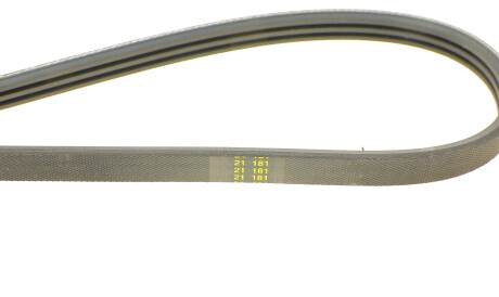 Фото 3 - Ремінь приводний DAYCO 3PK853