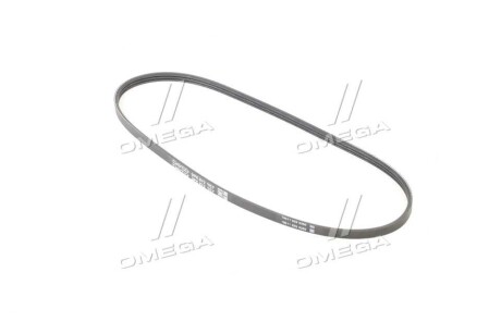 Ремінь генератора Nissan 200 SX 2.0 Turbo 93-99 - (1195065F10, 1195065F11, 1195065F12) DAYCO 3PK872