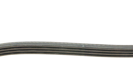 Фото 2 - Ремінь приводний DAYCO 4PK1488