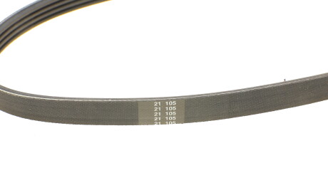 Фото 3 - Ремень приводной DAYCO 4PK668