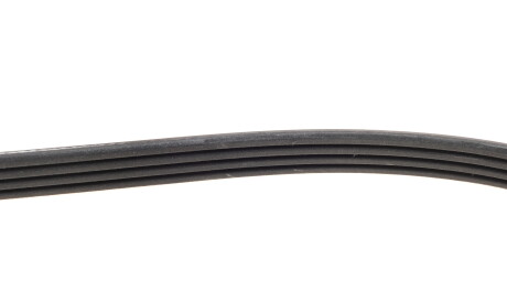 Фото 3 - Ремінь приводний DAYCO 4PK920