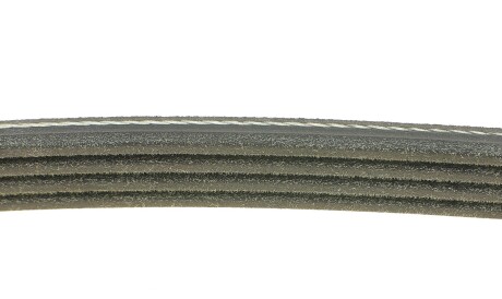 Фото 2 - Ремінь приводний DAYCO 4PK922EE