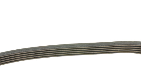 Фото 2 - Ремінь приводний DAYCO 5PK1000