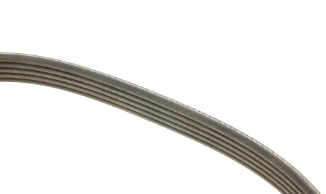 Фото 3 - Ремінь приводний DAYCO 5PK1010