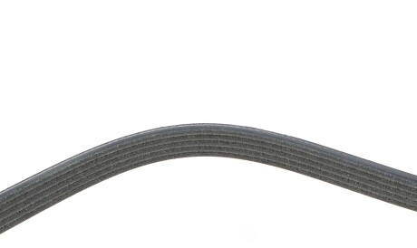 Фото 3 - Ремень приводной DAYCO 5PK1072S