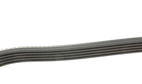 Фото 2 - Ремень приводной DAYCO 5PK1125