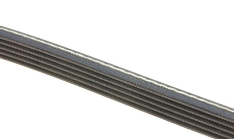 Фото 3 - Ремень приводной DAYCO 5PK1152