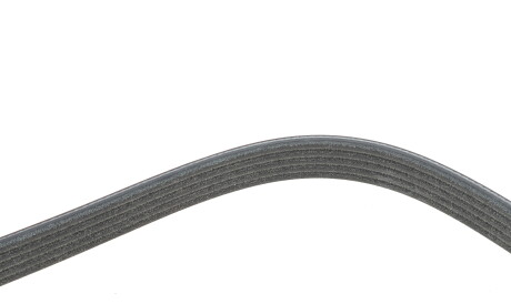 Фото 3 - Ремень приводной DAYCO 5PK1240S