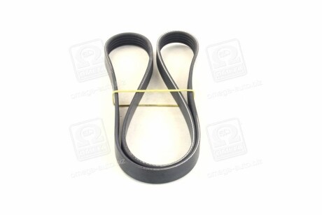 Фото 4 - Ремень приводной DAYCO 5PK1285