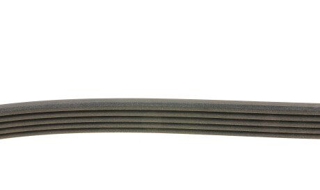 Фото 2 - Ремінь приводний DAYCO 5PK1500