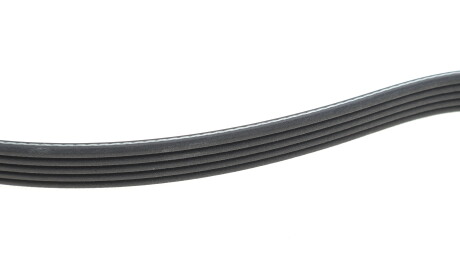 Фото 3 - Ремінь приводний DAYCO 5PK1572