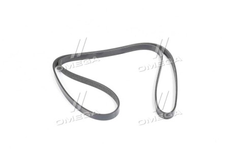 Фото 3 - Ремень приводной DAYCO 5PK1645S