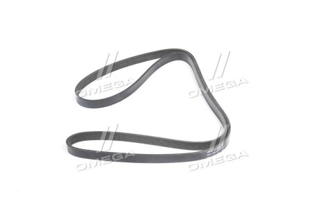 Фото 4 - Ремень приводной DAYCO 5PK1645S