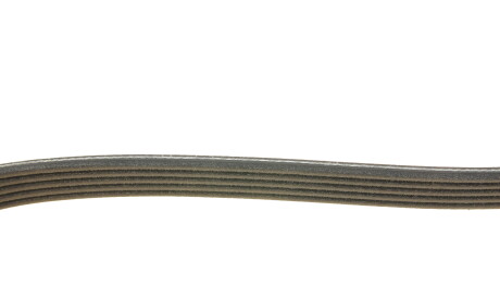 Фото 3 - Ремінь приводний DAYCO 5PK1650