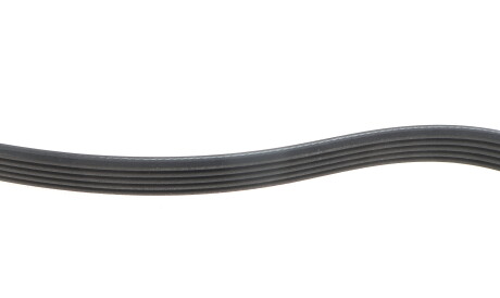 Фото 3 - Ремінь приводний DAYCO 5PK1680