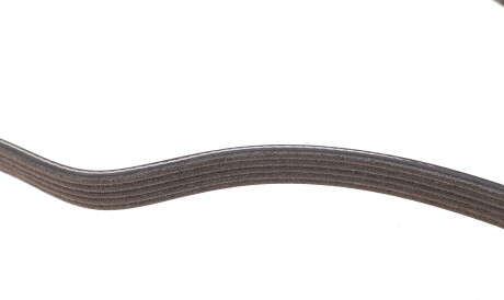 Фото 3 - Ремінь приводний DAYCO 5PK1715S