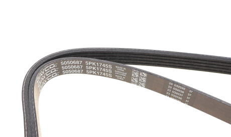 Фото 2 - Ремень приводной DAYCO 5PK1745S