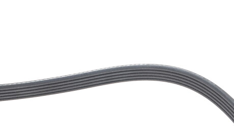 Фото 3 - Ремень приводной DAYCO 5PK1790