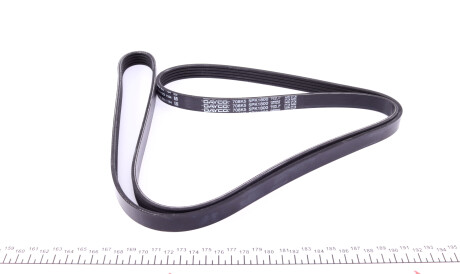 Фото 3 - Ремінь приводний DAYCO 5PK1800