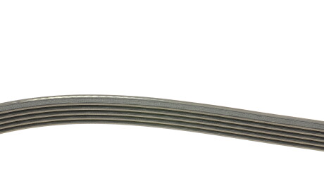 Фото 2 - Ремень приводной DAYCO 5PK1815