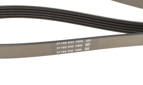 Фото 3 - Ремень приводной DAYCO 5PK1885