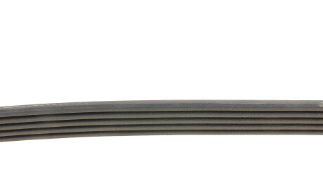 Фото 2 - Ремень приводной DAYCO 5PK725