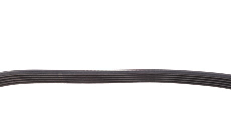 Фото 3 - Ремінь приводний DAYCO 5PK736