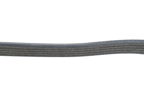 Фото 3 - Ремінь приводний DAYCO 5PK748EE