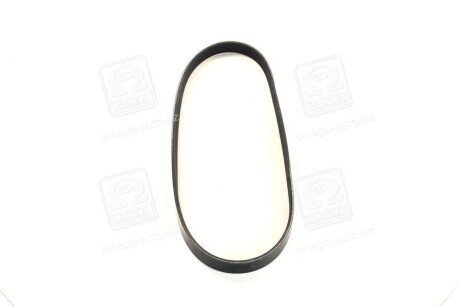 Фото 4 - Ремінь приводний DAYCO 5PK825