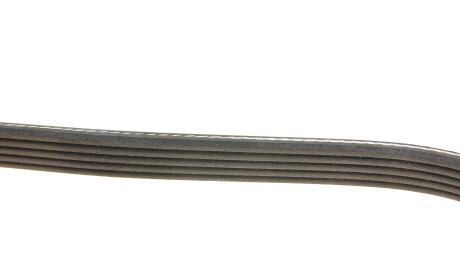 Фото 3 - Ремінь приводний DAYCO 5PK830