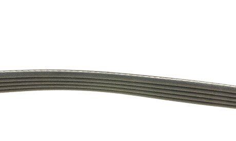 Фото 3 - Ремень приводной DAYCO 5PK835