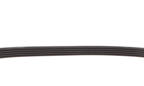 Фото 3 - Ремінь приводний DAYCO 5PK853