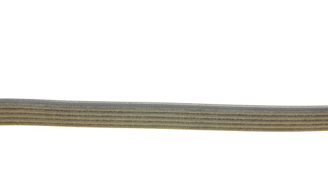 Фото 3 - Ремень приводной DAYCO 5PK855S