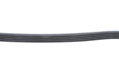 Фото 3 - Ремінь приводний DAYCO 5PK872