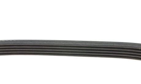 Фото 2 - Ремінь приводний DAYCO 5PK890