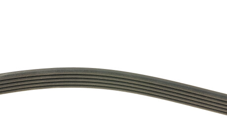 Фото 2 - Ремень приводной DAYCO 5PK907