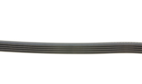 Фото 3 - Ремень приводной DAYCO 5PK915