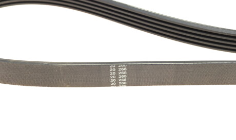 Фото 2 - Ремінь приводний DAYCO 5PK926EE