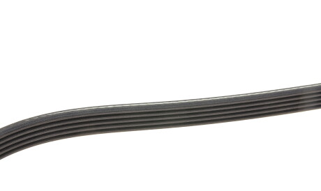 Фото 3 - Ремень приводной DAYCO 5PK975