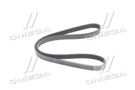 Фото 3 - Автозапчасть DAYCO 5PK995