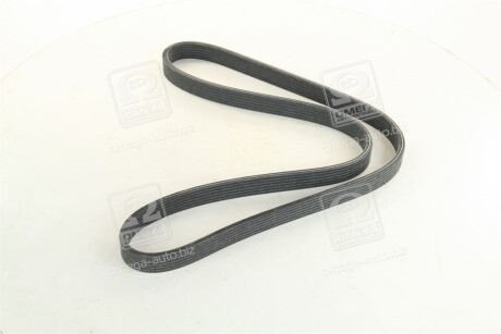 Фото 3 - Ремінь приводний DAYCO 6DPK1188