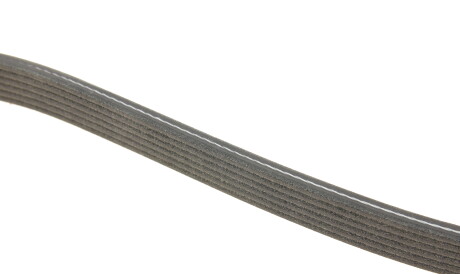 Фото 3 - Ремень приводной DAYCO 6DPK1698