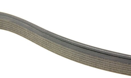 Фото 3 - Ремінь приводний DAYCO 6DPK1840