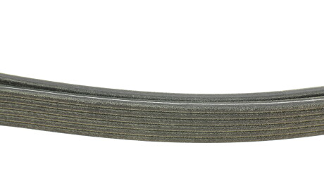 Фото 2 - Ремінь приводний DAYCO 6DPK1853