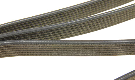 Фото 2 - Ремінь приводний DAYCO 6DPK2217