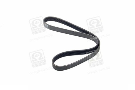 Фото 3 - Ремінь приводний DAYCO 6PK1005