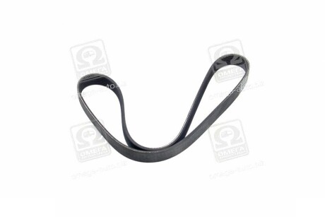 Фото 4 - Ремінь приводний DAYCO 6PK1005