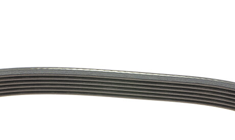 Фото 2 - Ремень приводной DAYCO 6PK1013