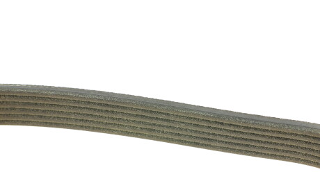 Фото 2 - Ремінь приводний DAYCO 6PK1024EE