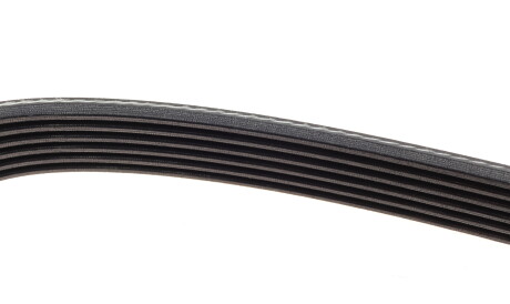 Фото 3 - Ремень приводной DAYCO 6PK1025